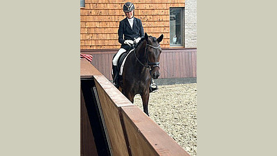 Dressage horse for sale in Denmark