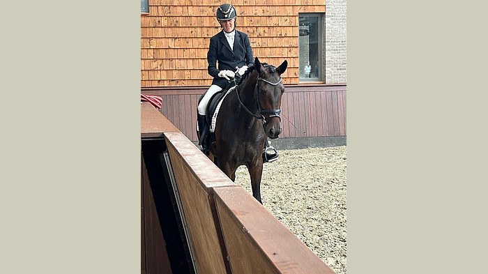 Dressage horse for sale in Denmark